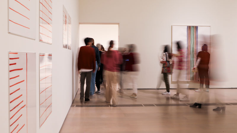 Visitas guiadas con guía propio