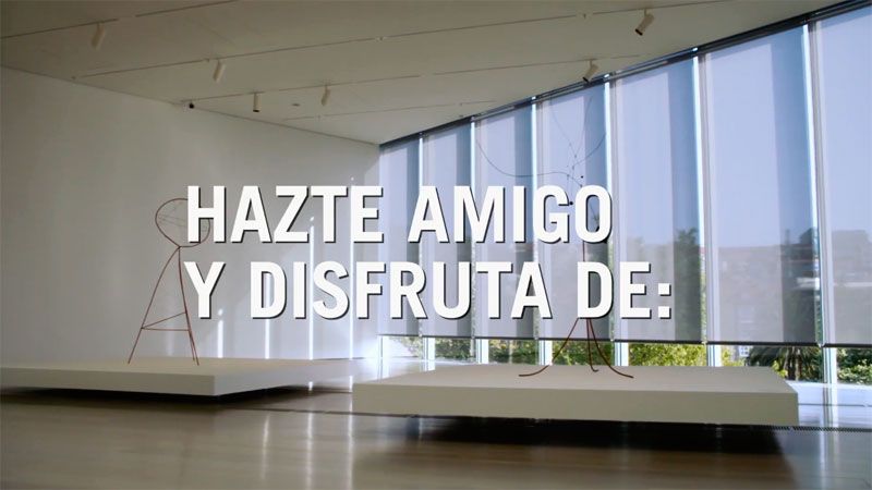 VIDEO HAZTE AMIGO DEL CENTRO BOTÍN