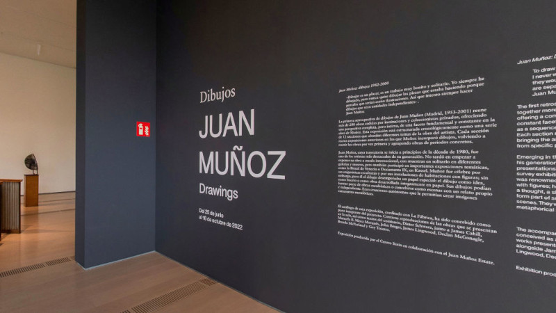 VISITA VIRTUAL A LA EXPOSICIÓN «JUAN MUÑOZ. DIBUJOS 1982 – 2000»