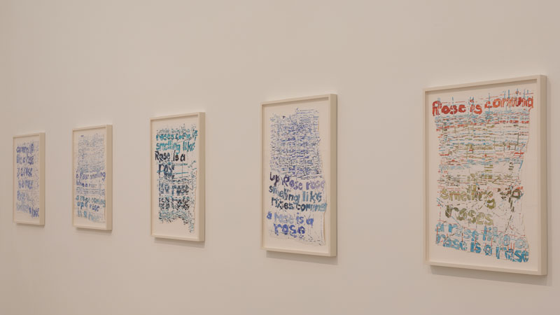 Th Rose Prblm, 2015 Exposición Roni Horn