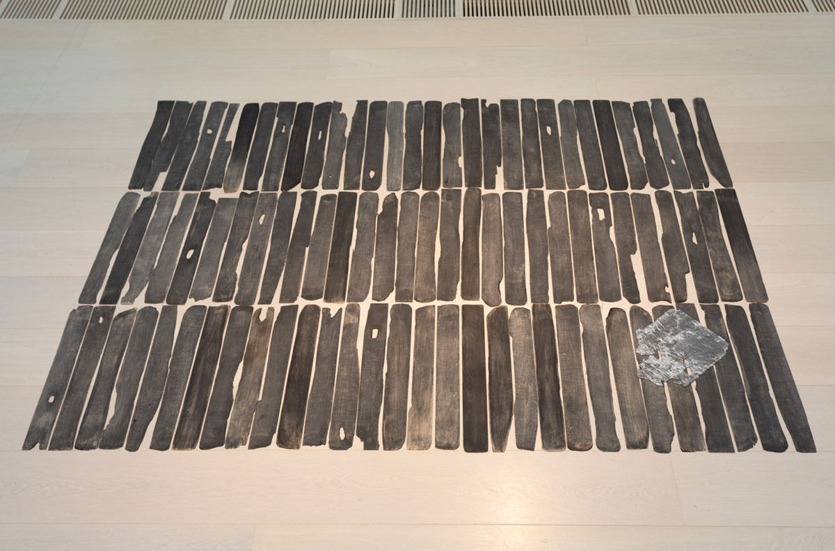 Floor. Patricia Dauder